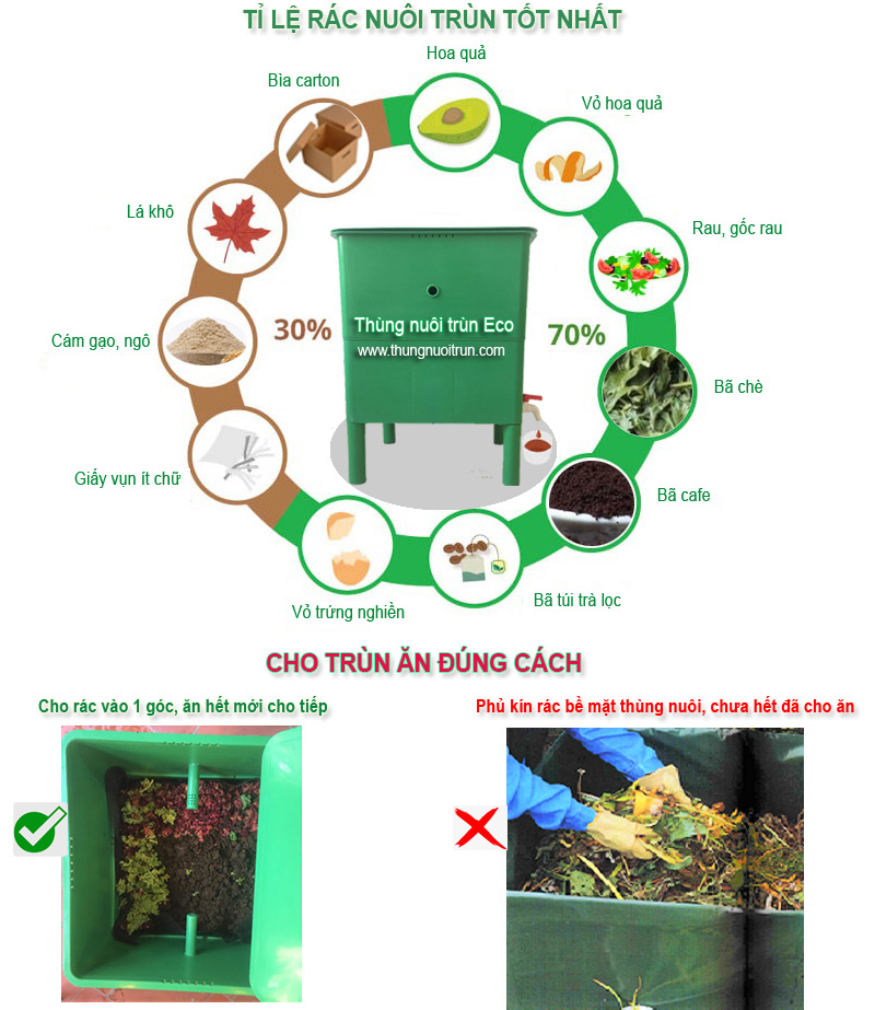 Huong dan nuoi trun que